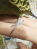 20170224_184439.jpg