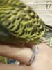 20170224_184423.jpg
