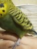 20170224_184431.jpg