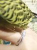 20170224_184421.jpg