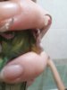 20170224_192326.jpg