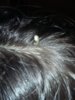 20170224_192549.jpg