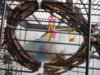 DSCN9850.JPG