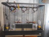 DSCN9849.JPG