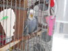 DSCN9883.JPG