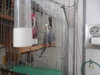 DSCN9863.JPG