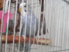 DSCN9865.JPG