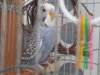DSCN9868.JPG