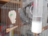 DSCN9870.JPG