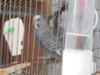 DSCN9871.JPG