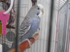 DSCN9894.JPG