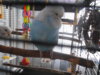 DSCN9897.JPG