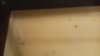 14881194977901490158679.jpg
