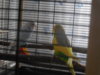 DSCN9923.JPG