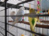 DSCN9918.JPG