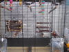 DSCN9924.JPG