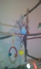 IMG-20170226-WA0012.jpeg