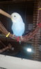IMG-20170226-WA0019.jpeg
