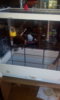 IMG-20170226-WA0017.jpeg