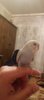 IMG-20170226-WA0027.jpg