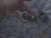 DSC01346.JPG