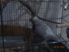 DSC01345.JPG