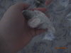 DSC01349.JPG