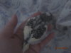 DSC01348.JPG