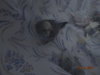 DSC01354.JPG