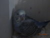 DSC01366.JPG
