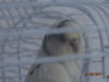 DSC01369.JPG