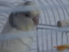 DSC01367.JPG