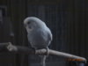 DSC01372.JPG