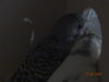 DSC01373.JPG
