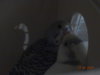 DSC01374.JPG