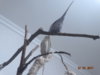 DSC01379.JPG