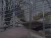 DSC01381.JPG