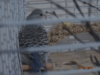 DSC01378.JPG