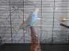 DSCN9925.JPG