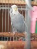 DSCN9935.JPG