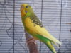 DSCN9937.JPG