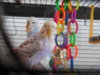 DSCN9938.JPG