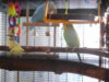 DSCN9927.JPG