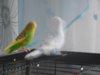 DSCN9945.JPG