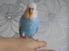 DSCN9947.JPG