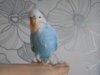 DSCN9946.JPG