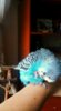 IMG_20170228_125134_286.jpg