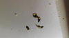 DSCF3091.JPG
