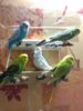 WhatsApp Image 2017-02-28 at 21.41.26.jpeg