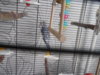 DSCN0021.JPG
